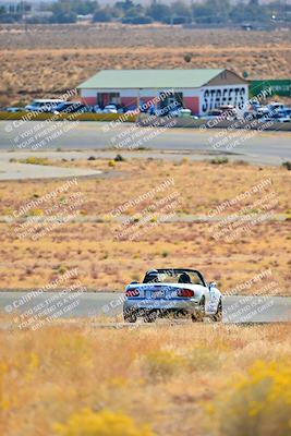media/Nov-16-2024-Extreme Speed (Sat) [[6587d07cc4]]/Purple Group/Session 1 (Turn 2)/